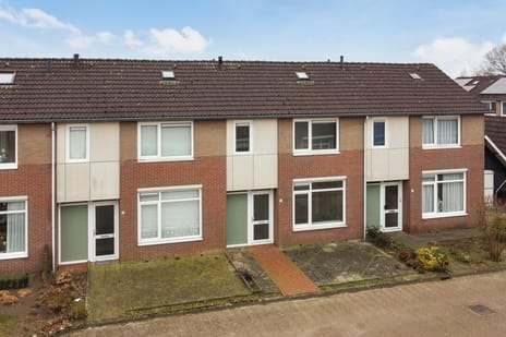 undefined main image