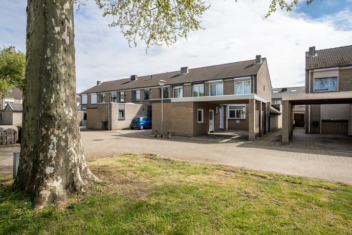 Foto 5 van Grutto 98