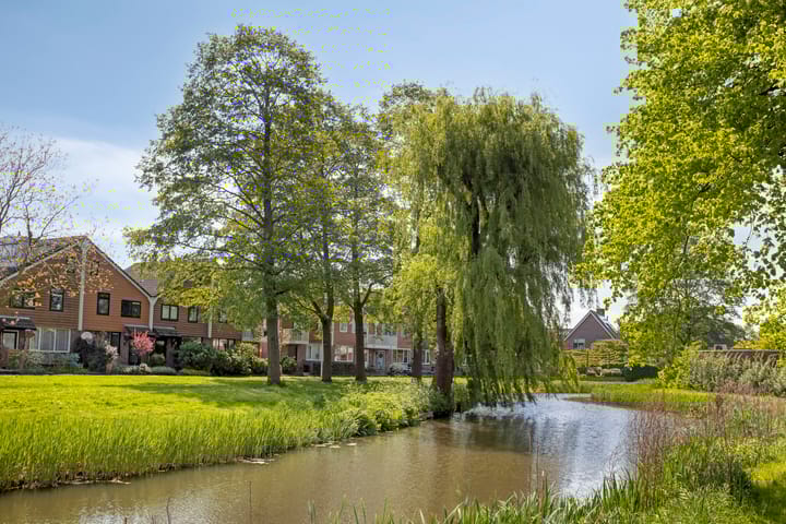 Foto 42 van Alver 17