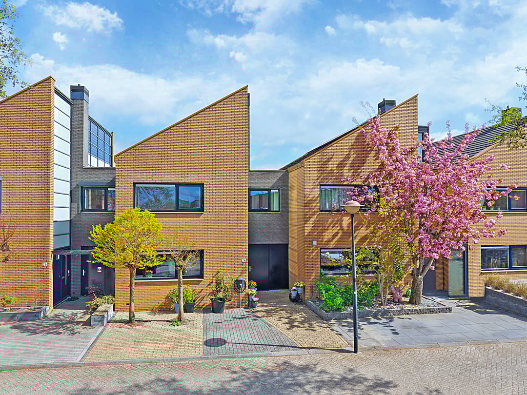 Photo 1 of Gele Plomp 24