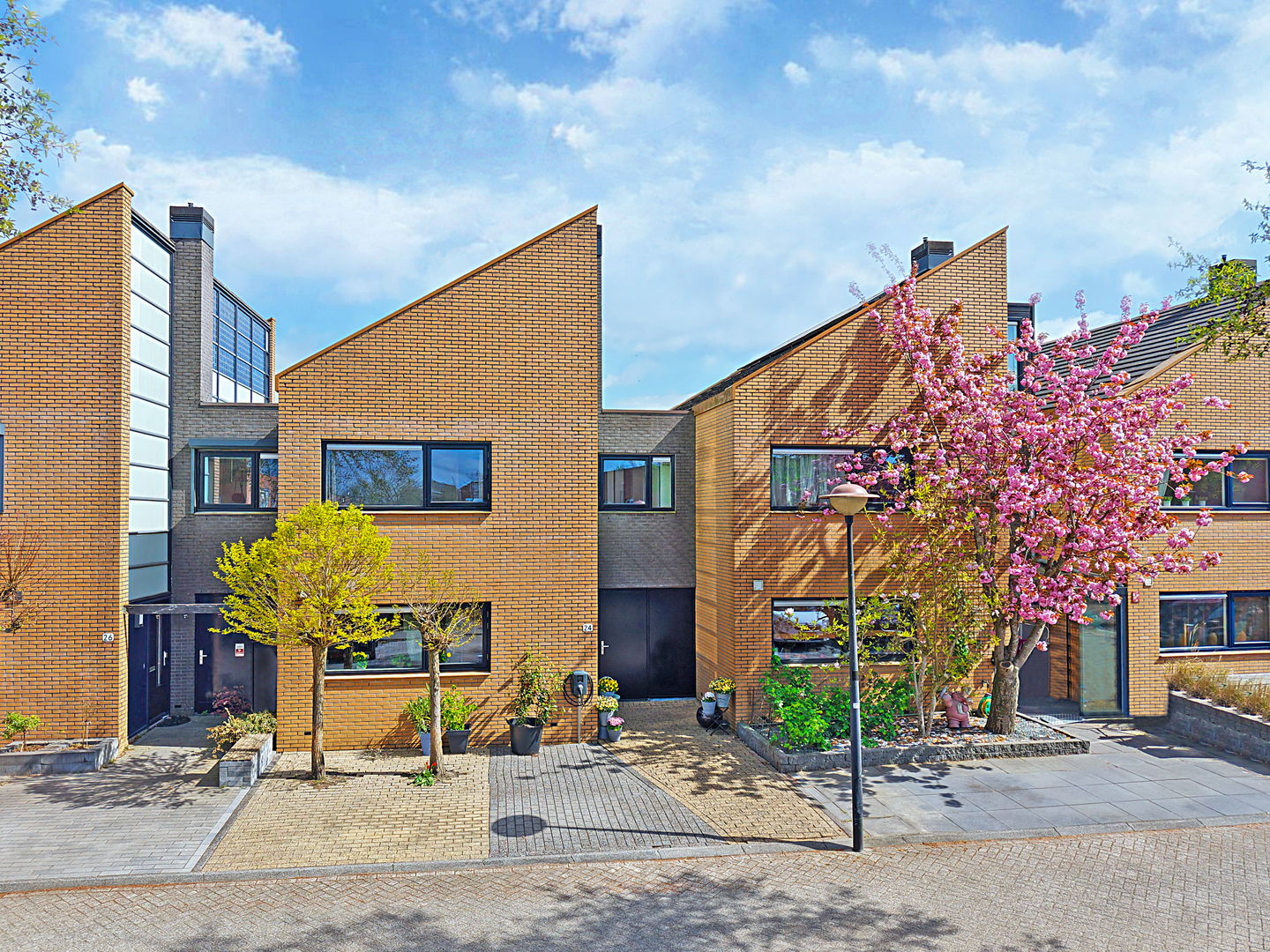 Foto 1 van Gele Plomp 24