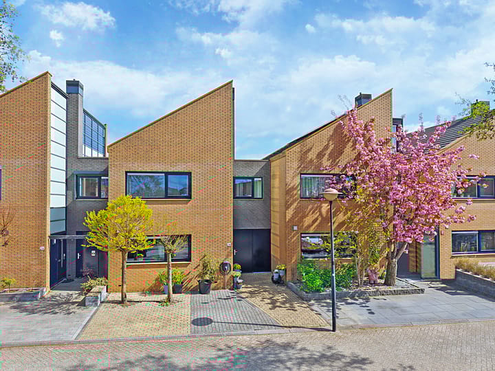 Foto 1 van Gele Plomp 24