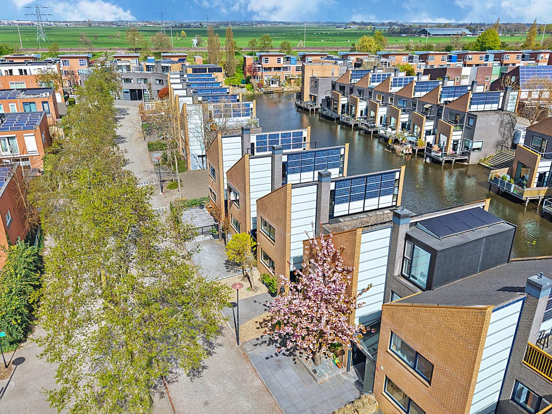 Photo 2 of Gele Plomp 24