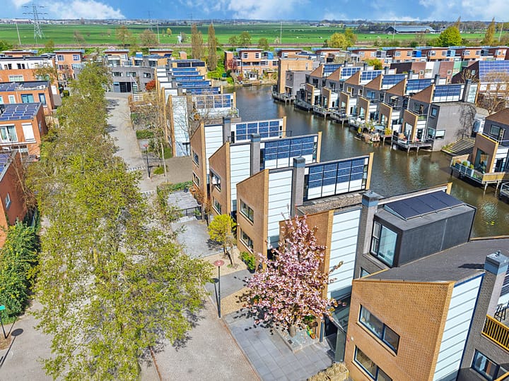 Foto 2 van Gele Plomp 24