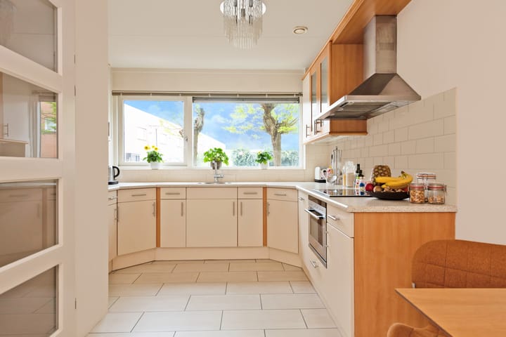 Foto 8 van Gele Plomp 24