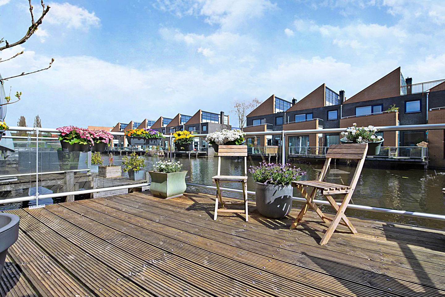 Photo 10 of Gele Plomp 24