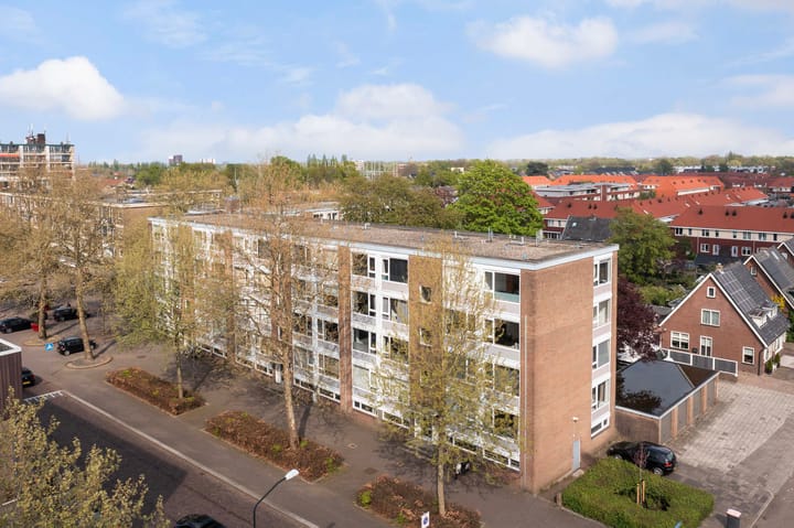 Foto 17 van Adelaarslaan 289