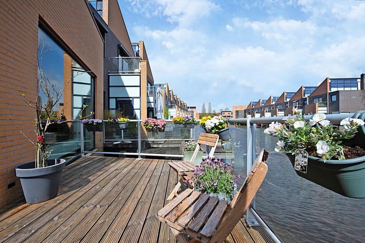 Foto 12 van Gele Plomp 24