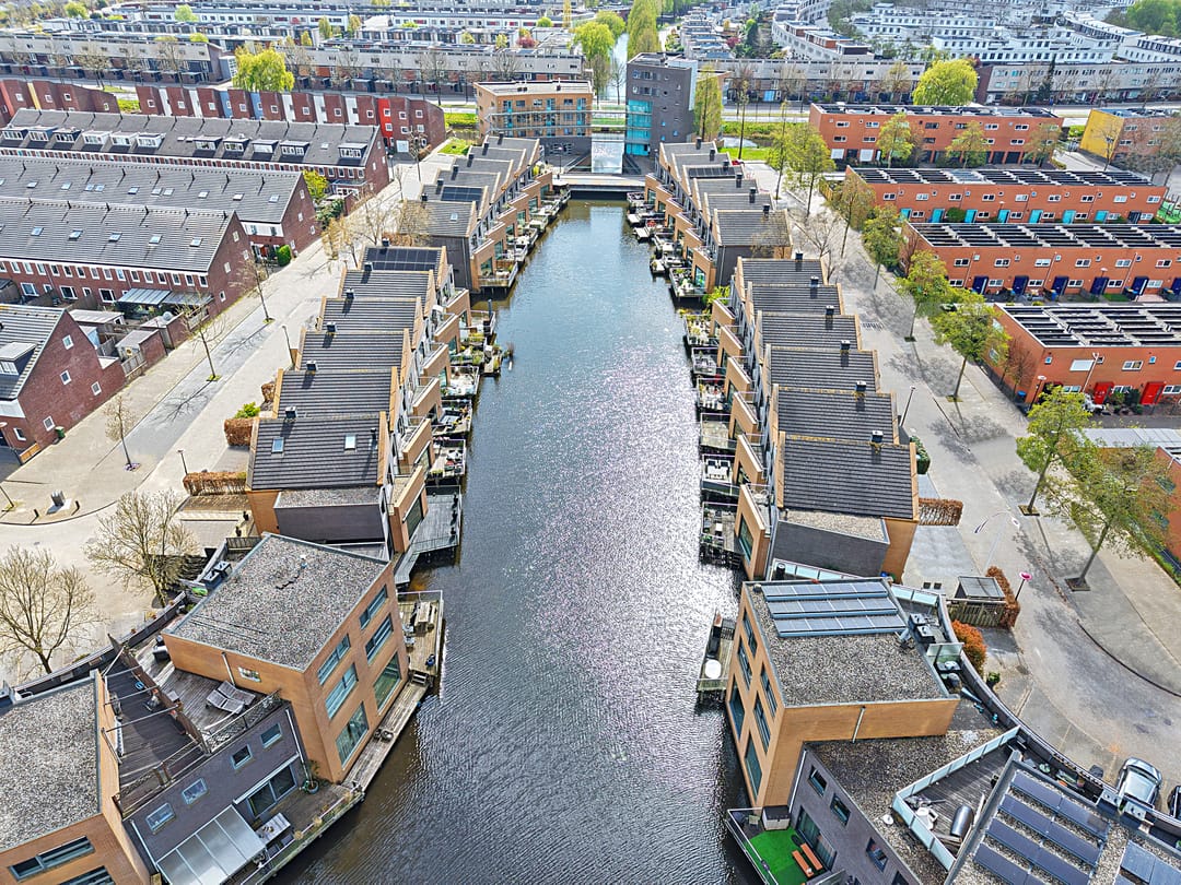 Photo 13 of Gele Plomp 24