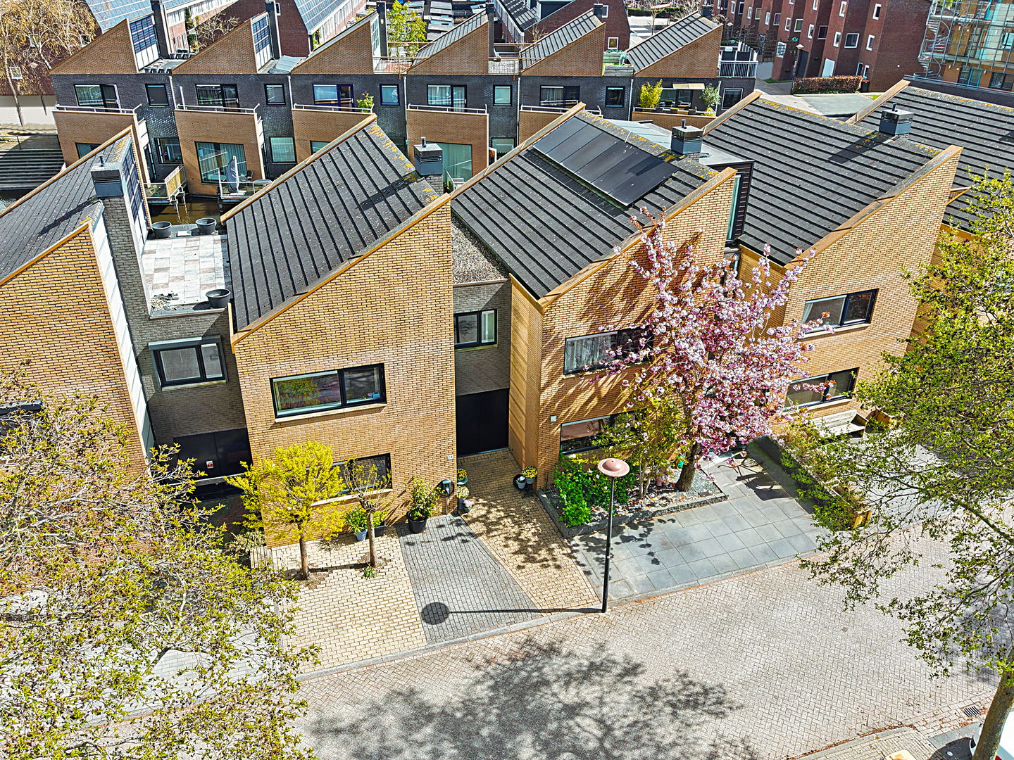 Photo 14 of Gele Plomp 24