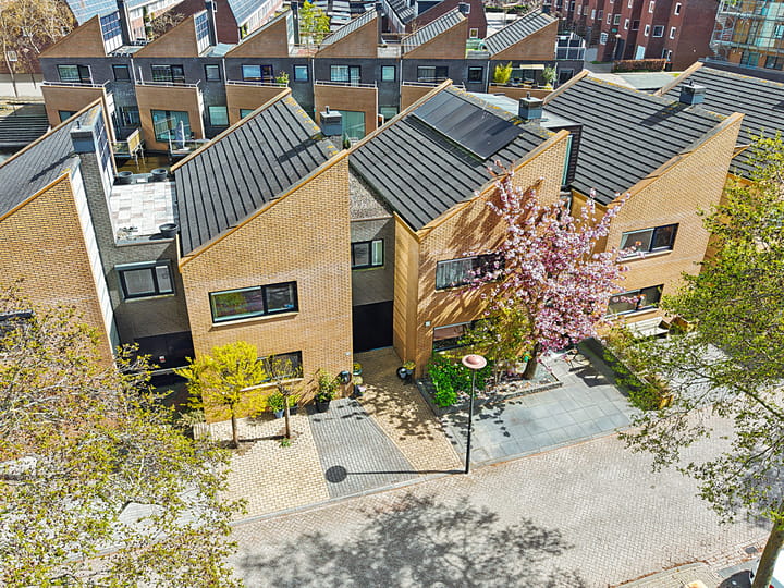 Foto 14 van Gele Plomp 24