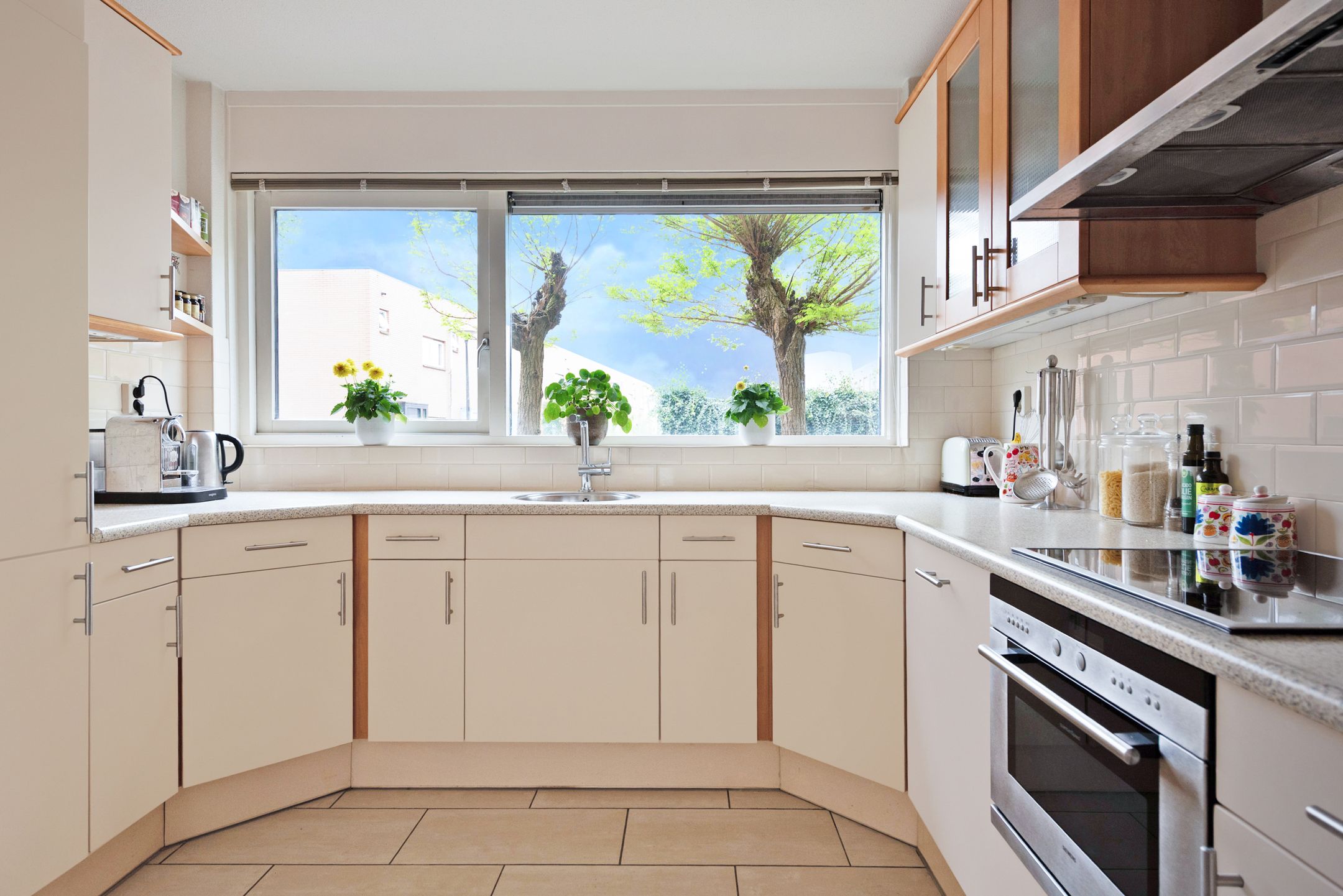 Photo 18 of Gele Plomp 24