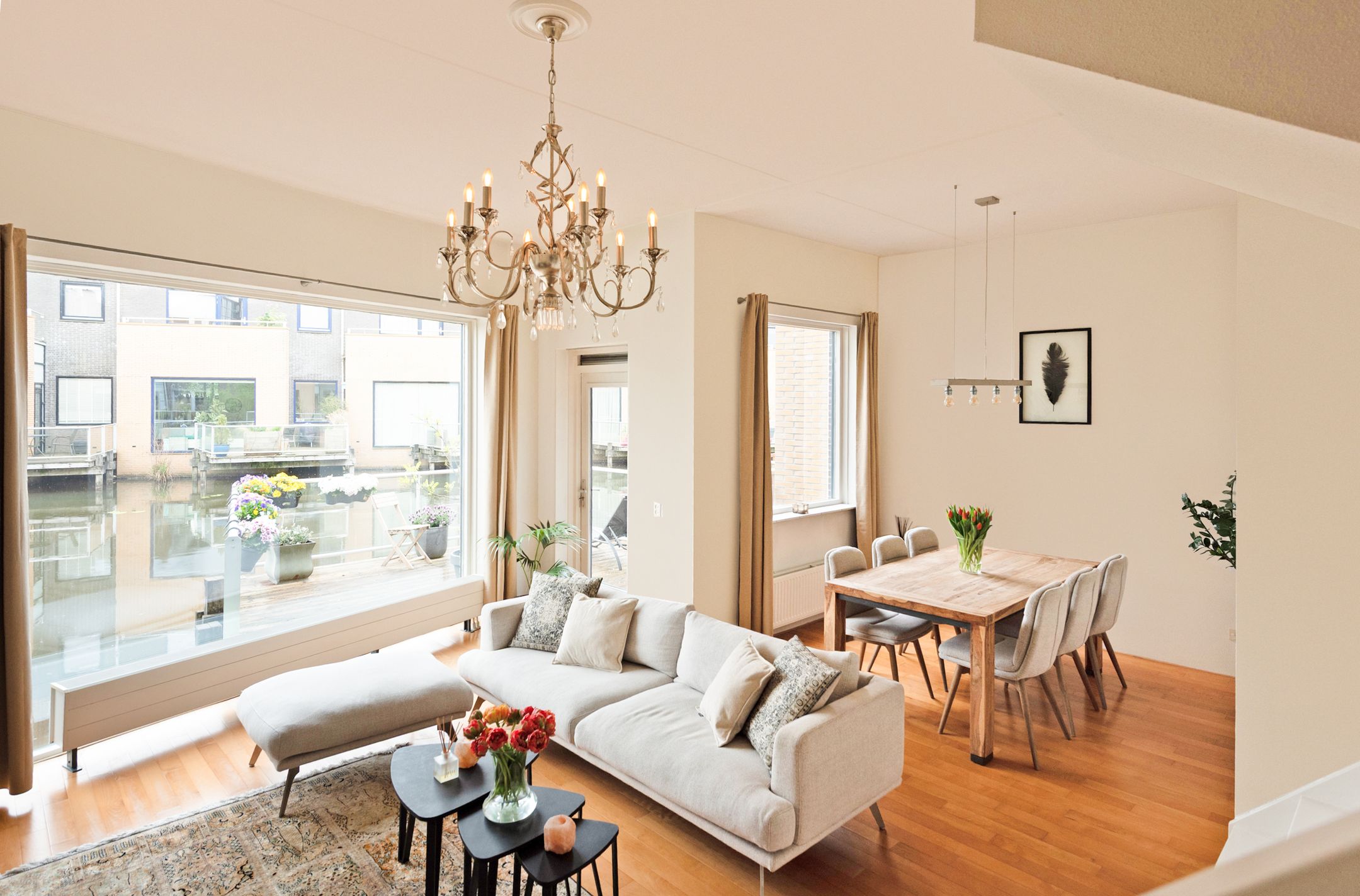 Photo 21 of Gele Plomp 24