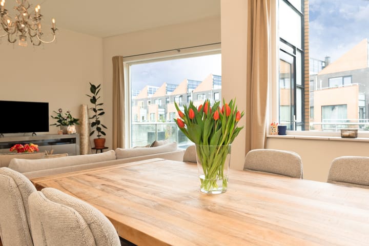 Foto 25 van Gele Plomp 24