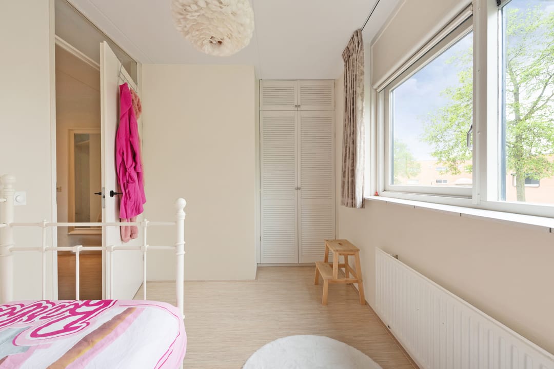 Photo 32 of Gele Plomp 24