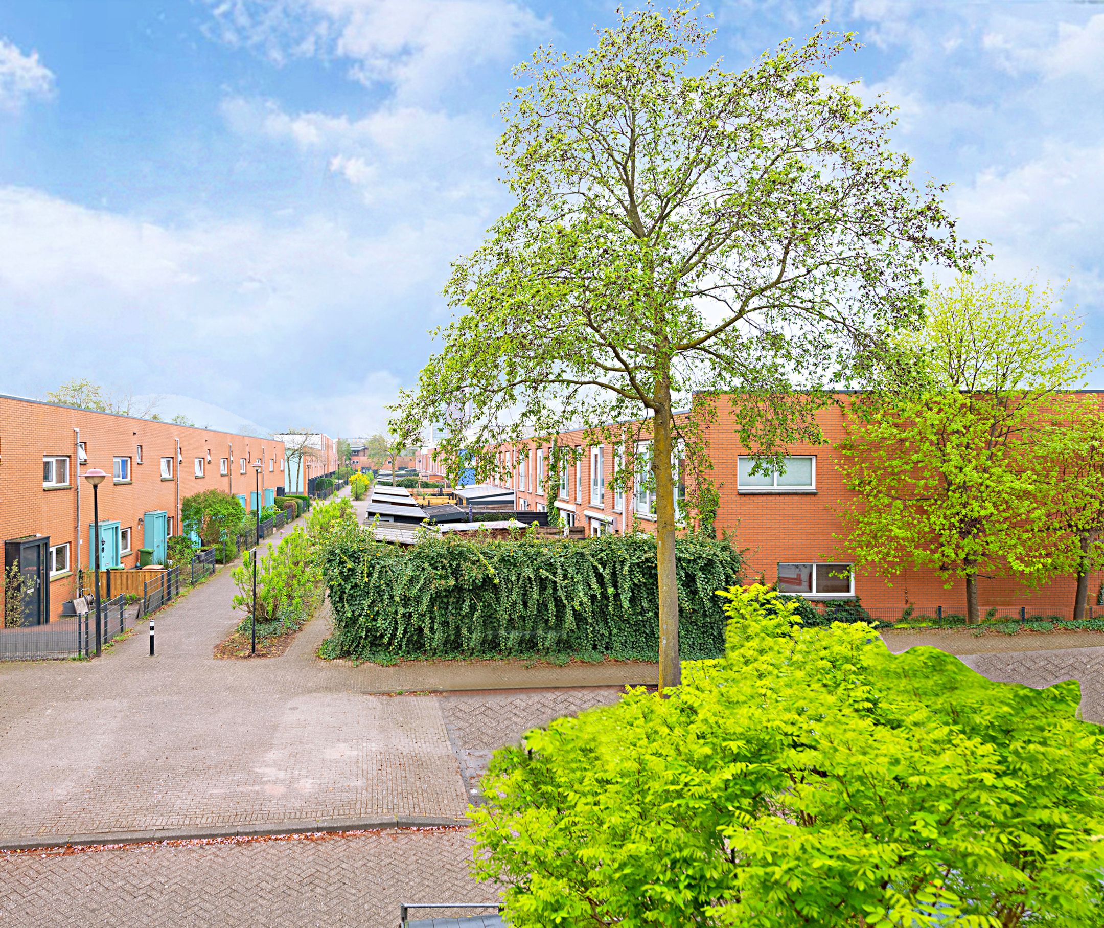 Photo 33 of Gele Plomp 24