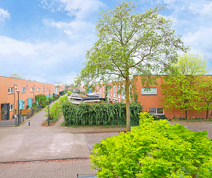 Foto 33 van Gele Plomp 24