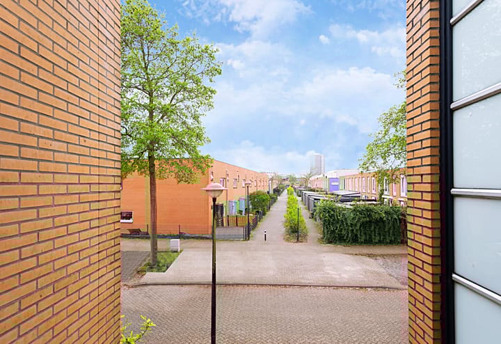 Foto 35 van Gele Plomp 24