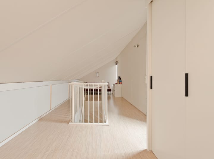 Foto 39 van Gele Plomp 24