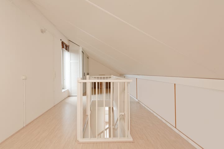 Foto 41 van Gele Plomp 24