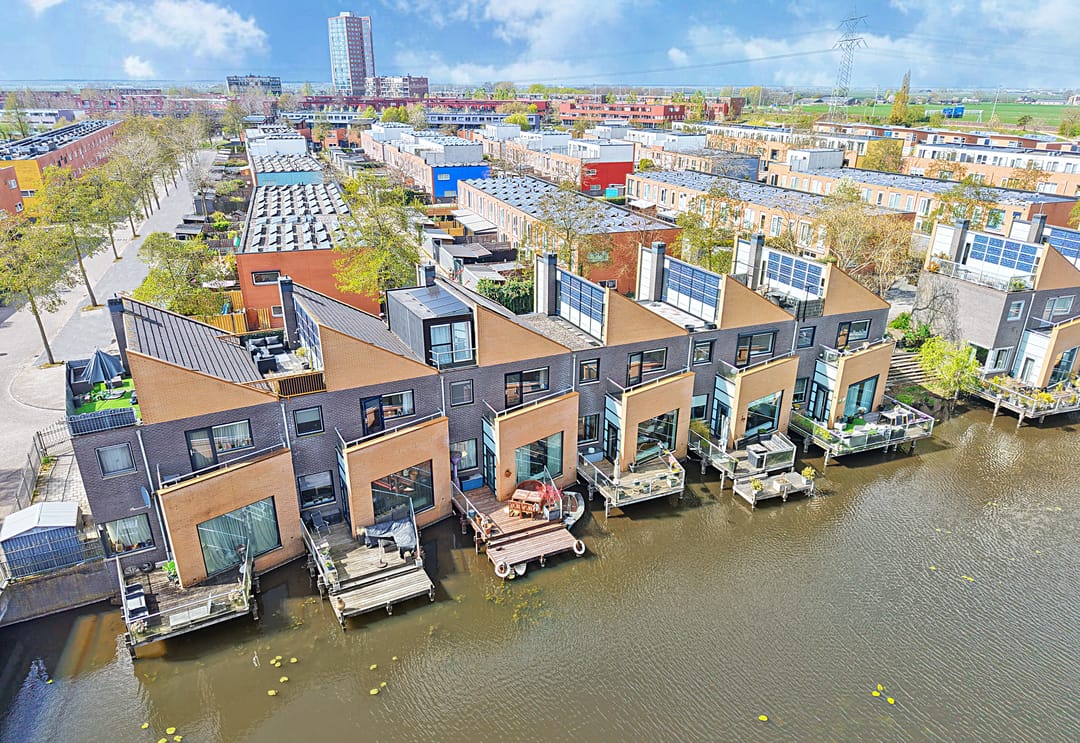 Photo 43 of Gele Plomp 24