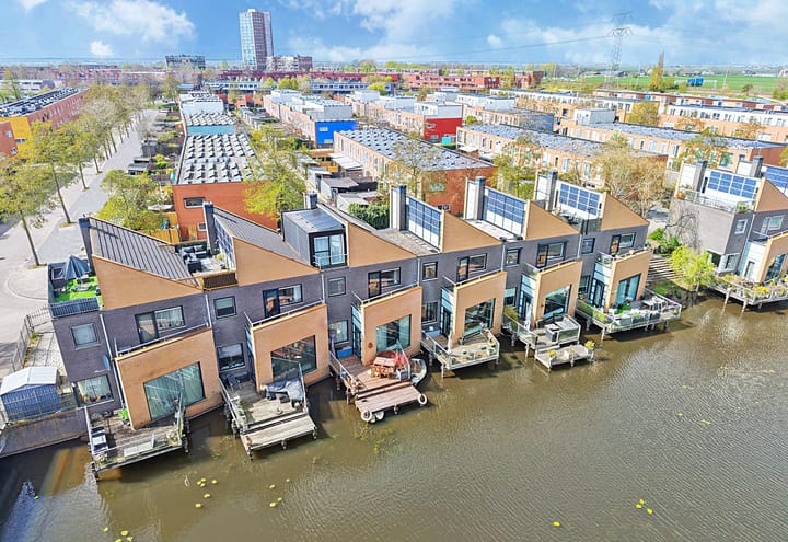 Foto 43 van Gele Plomp 24