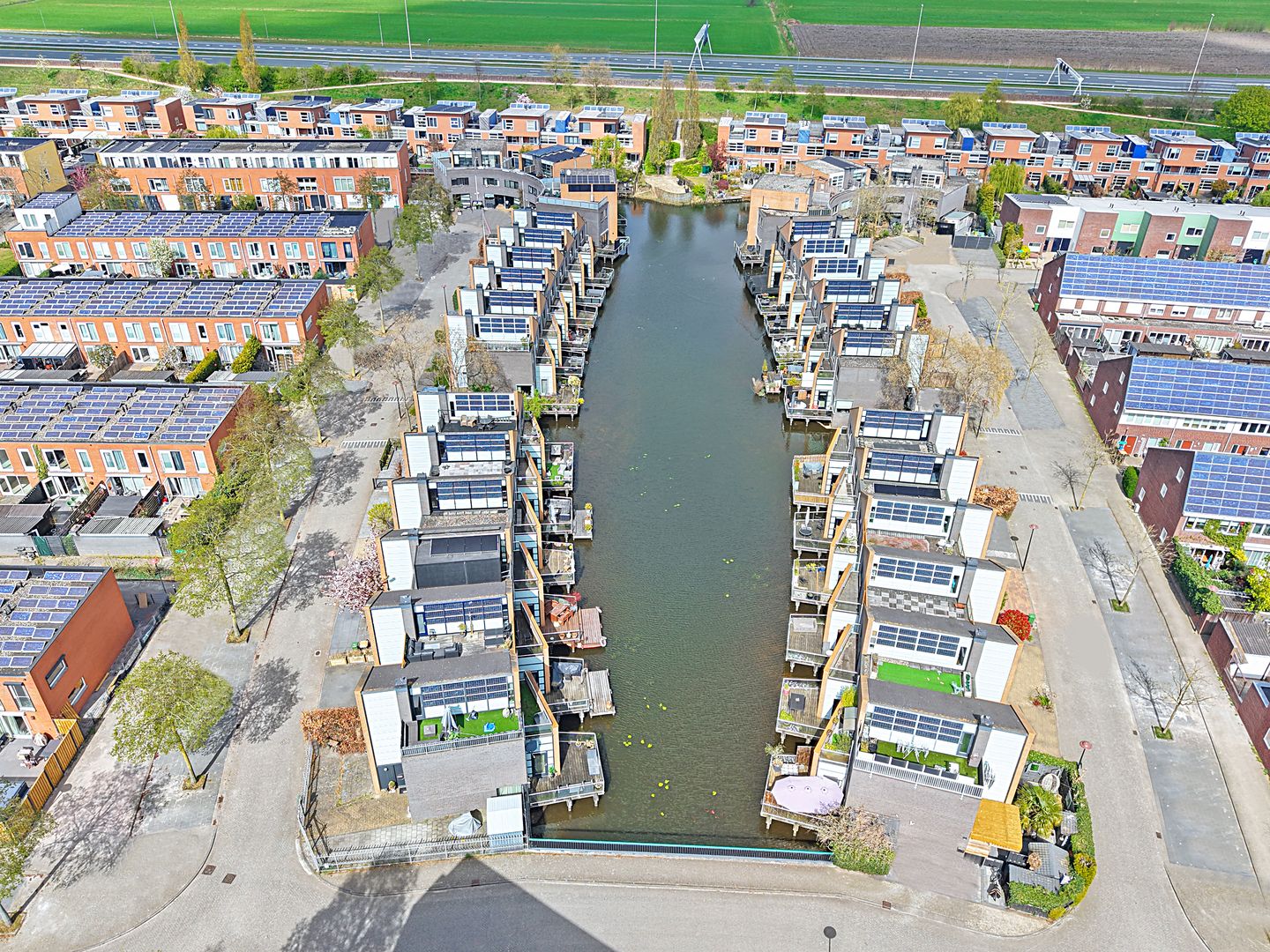 Photo 44 of Gele Plomp 24