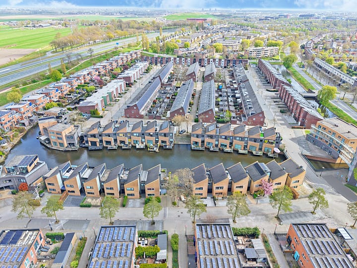 Foto 45 van Gele Plomp 24