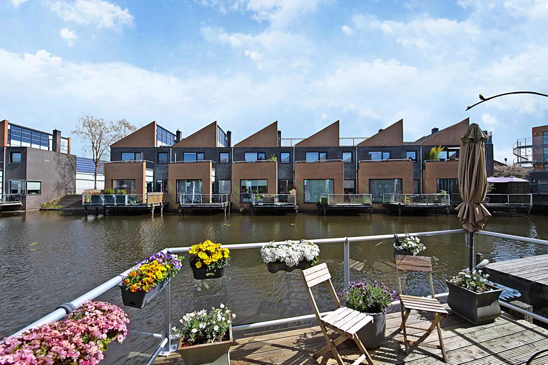 Photo 46 of Gele Plomp 24