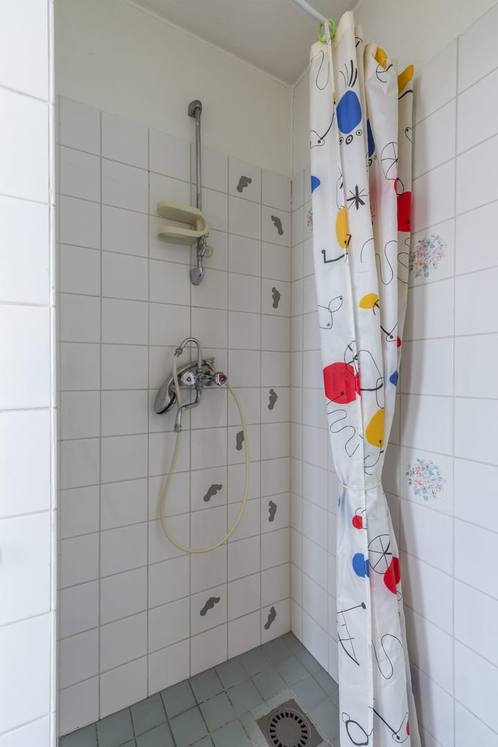 Foto 45 van Schotse Hooglanden 32