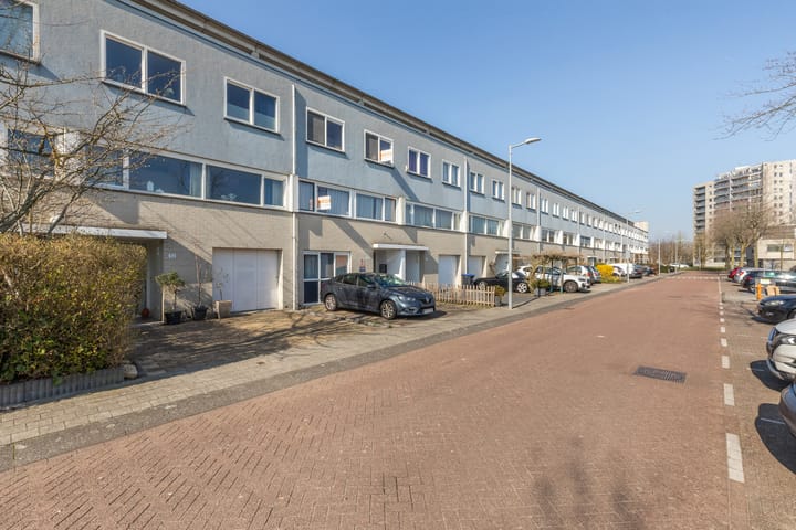 Foto 64 van Schotse Hooglanden 32