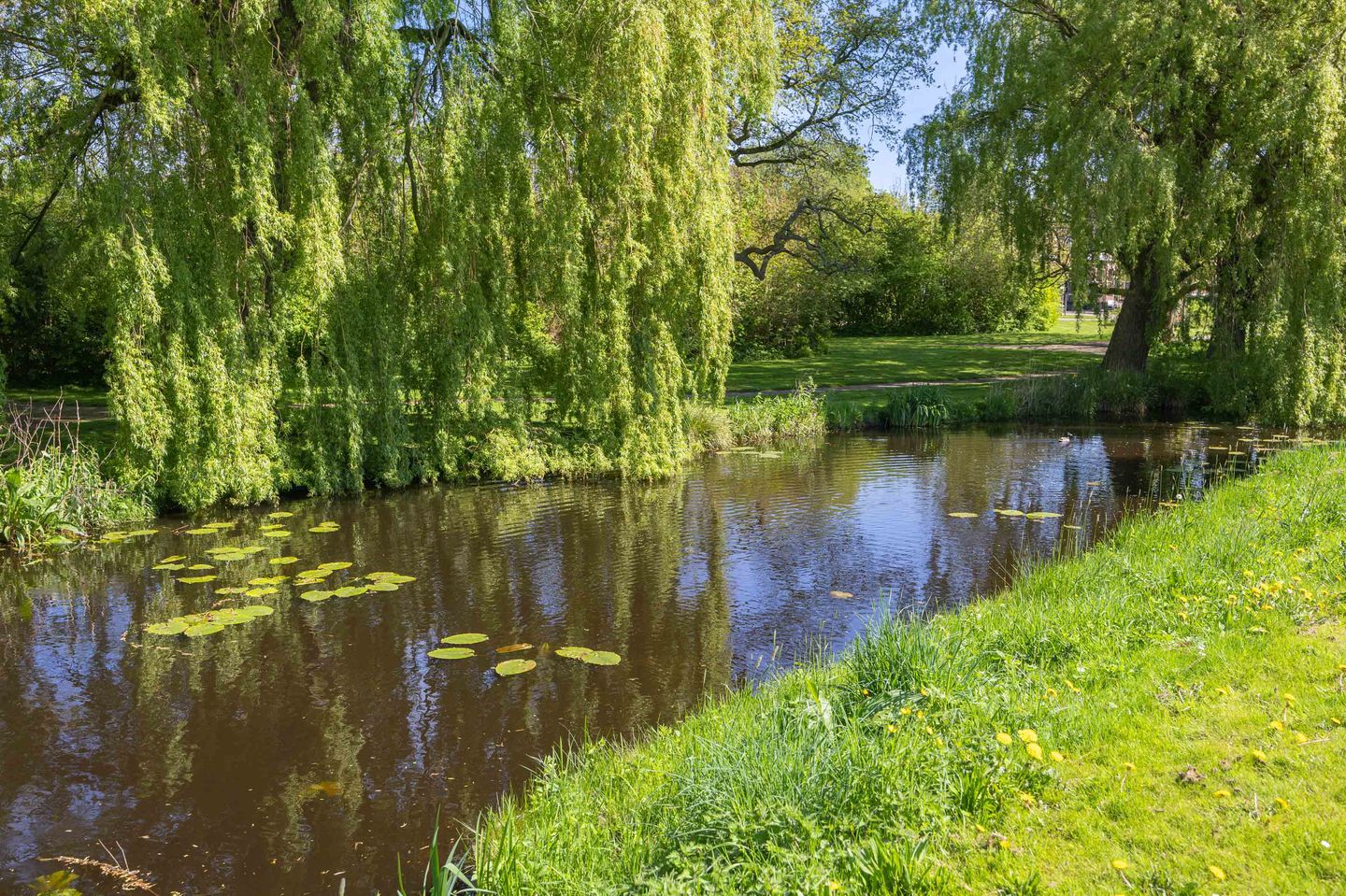 Foto 50 van Ljouwerterdyk 45