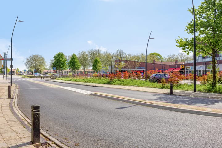 Foto 47 van Smedingplein 18