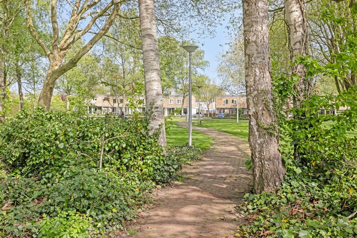 Foto 49 van Smedingplein 18