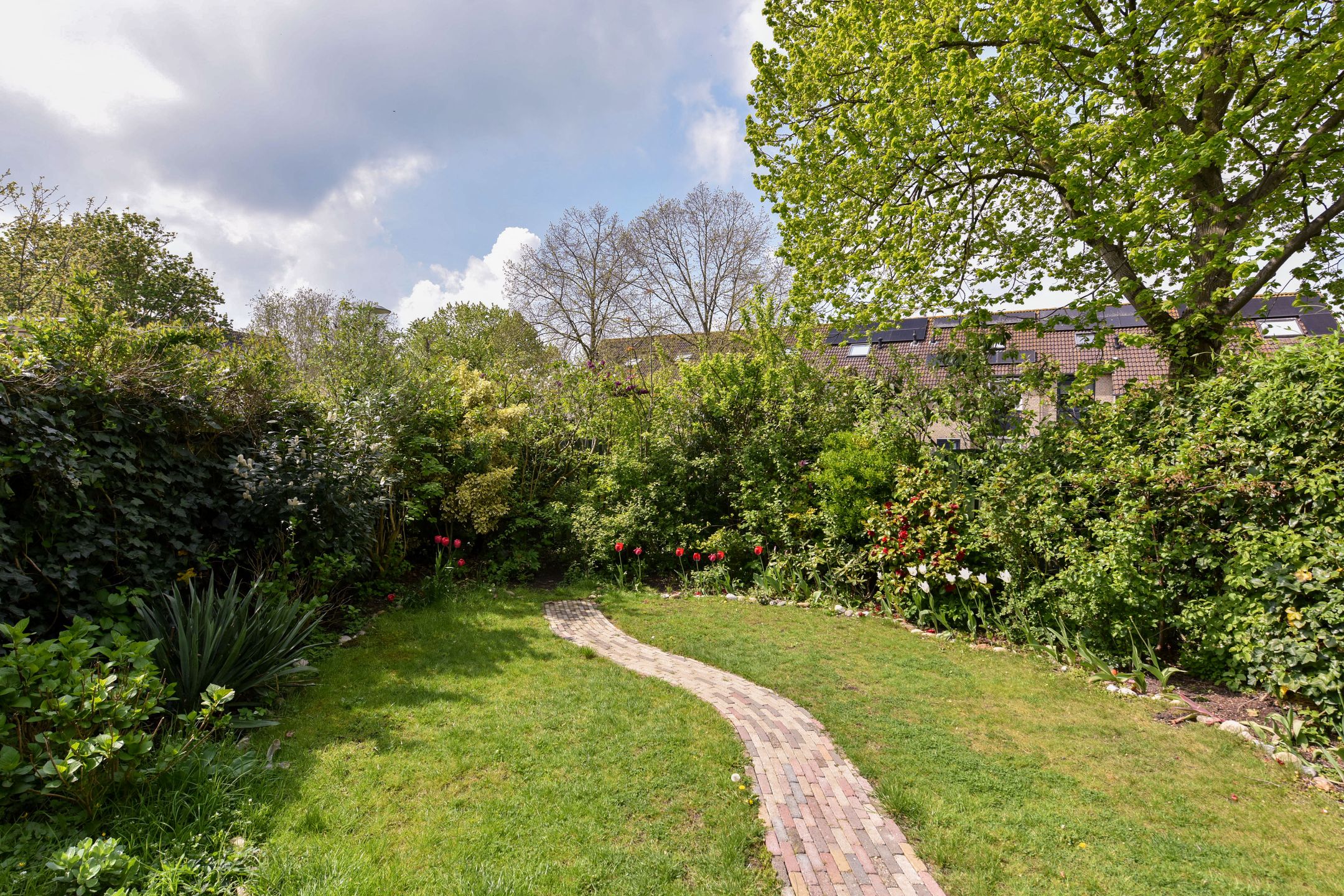 Foto 3 van Diamant 97