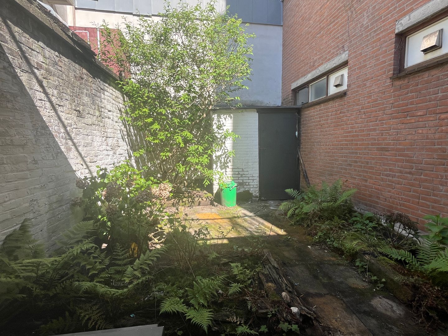 View photo 3 of Denneweg 61-A