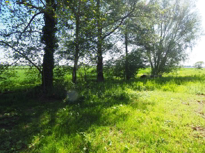 Foto 21 van Jetze Veldstraweg 101