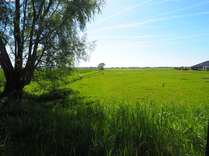 Foto 22 van Jetze Veldstraweg 101