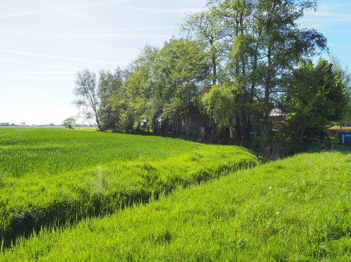 Foto 23 van Jetze Veldstraweg 101