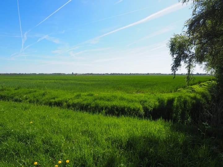 Foto 24 van Jetze Veldstraweg 101