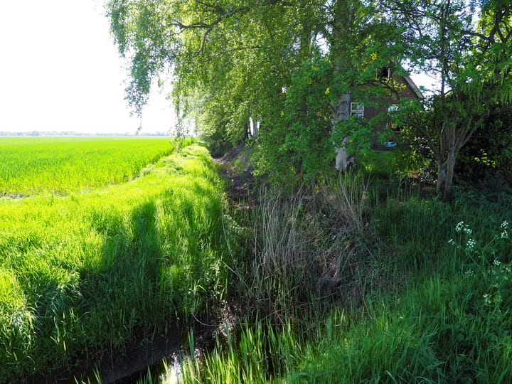 Foto 25 van Jetze Veldstraweg 101