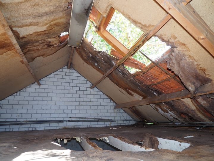 Foto 42 van Jetze Veldstraweg 101