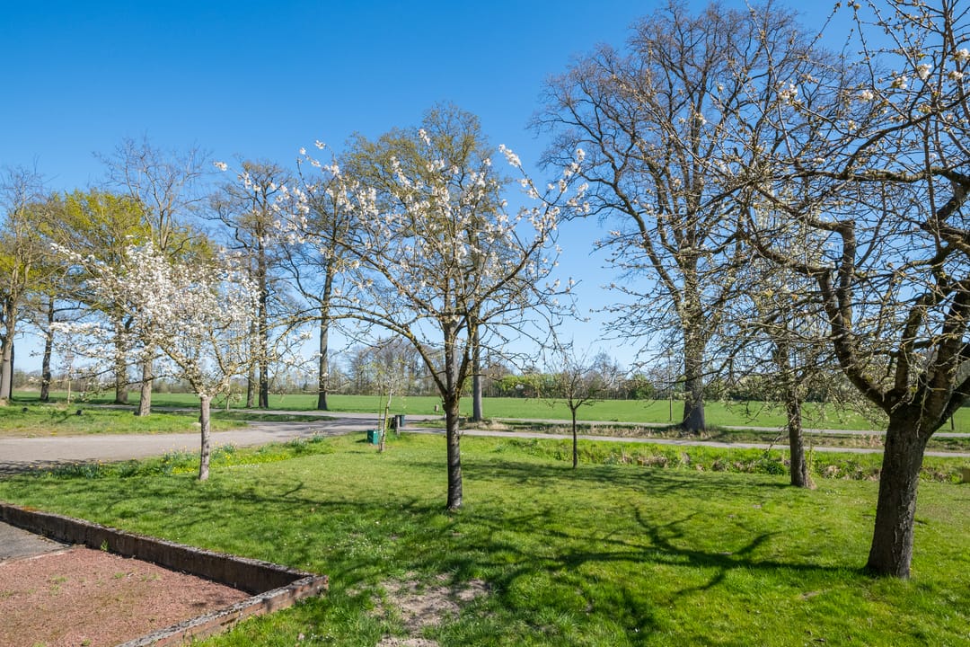 Photo 61 of Meddoseweg 24