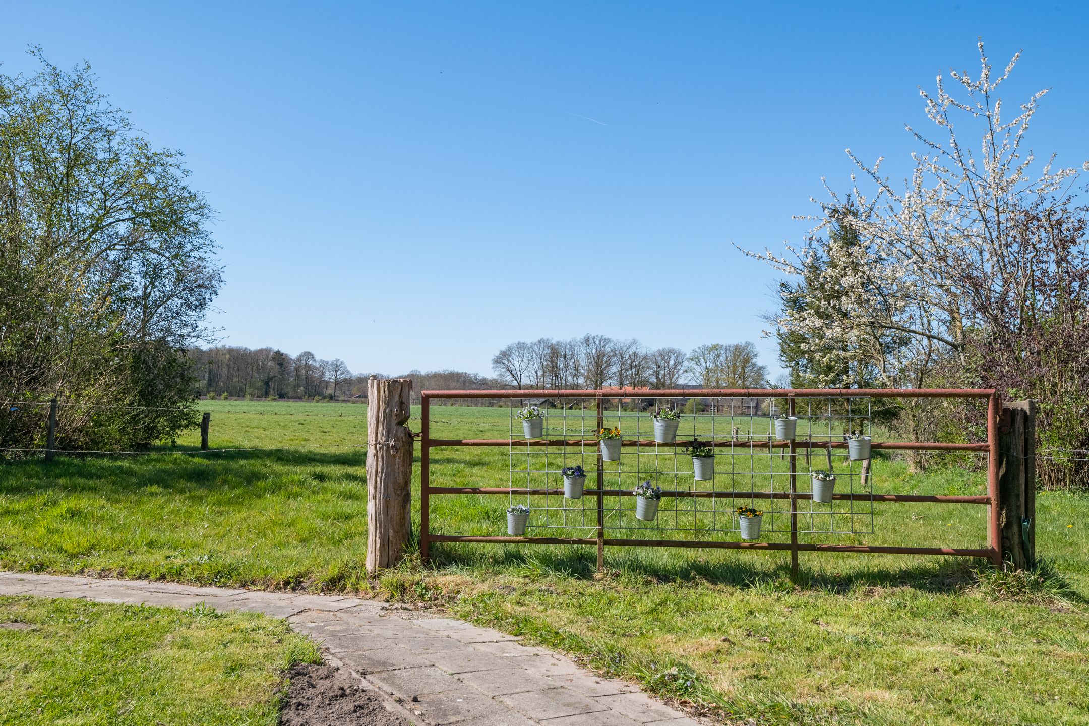 Photo 63 of Meddoseweg 24