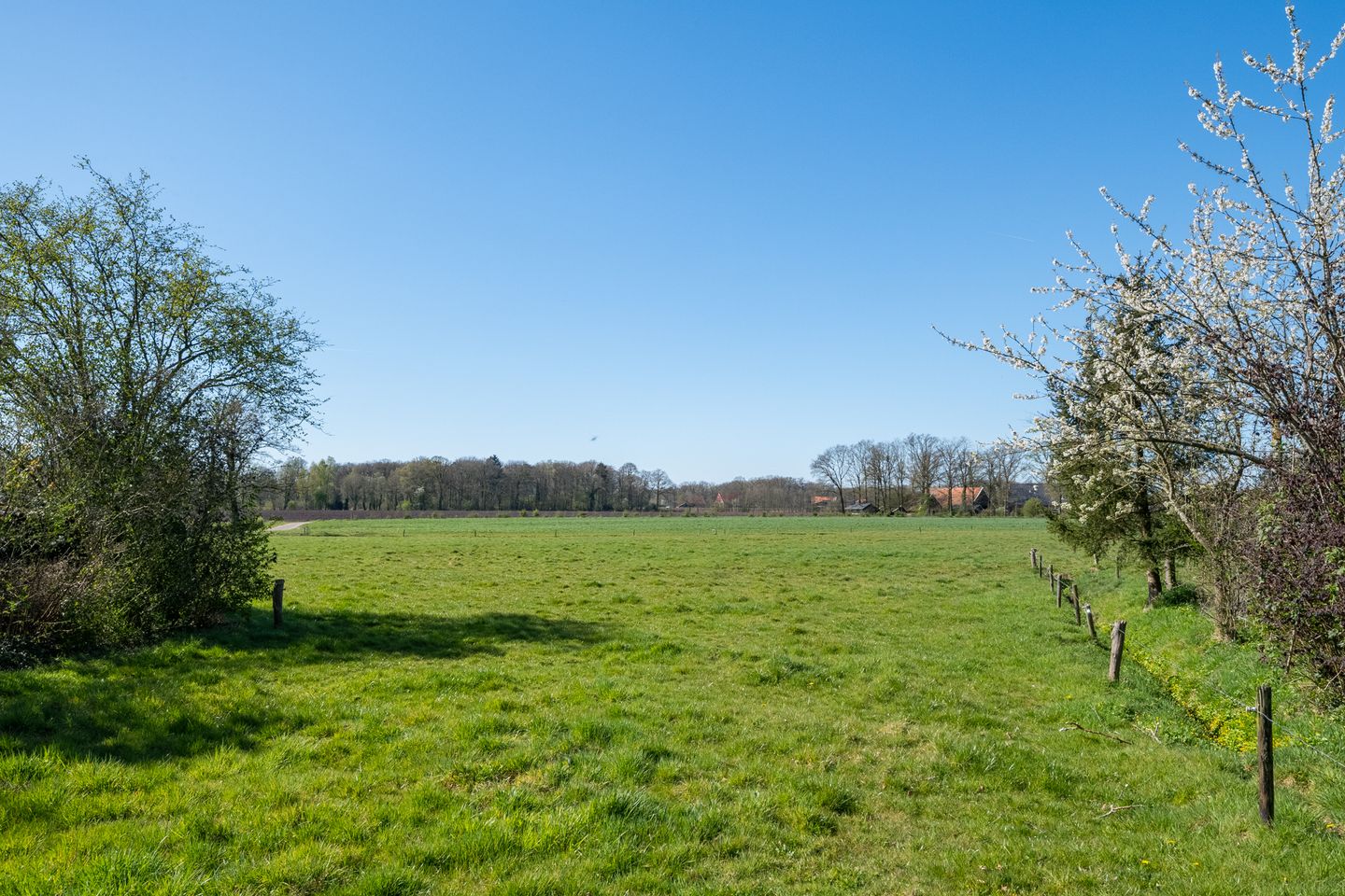 Photo 64 of Meddoseweg 24