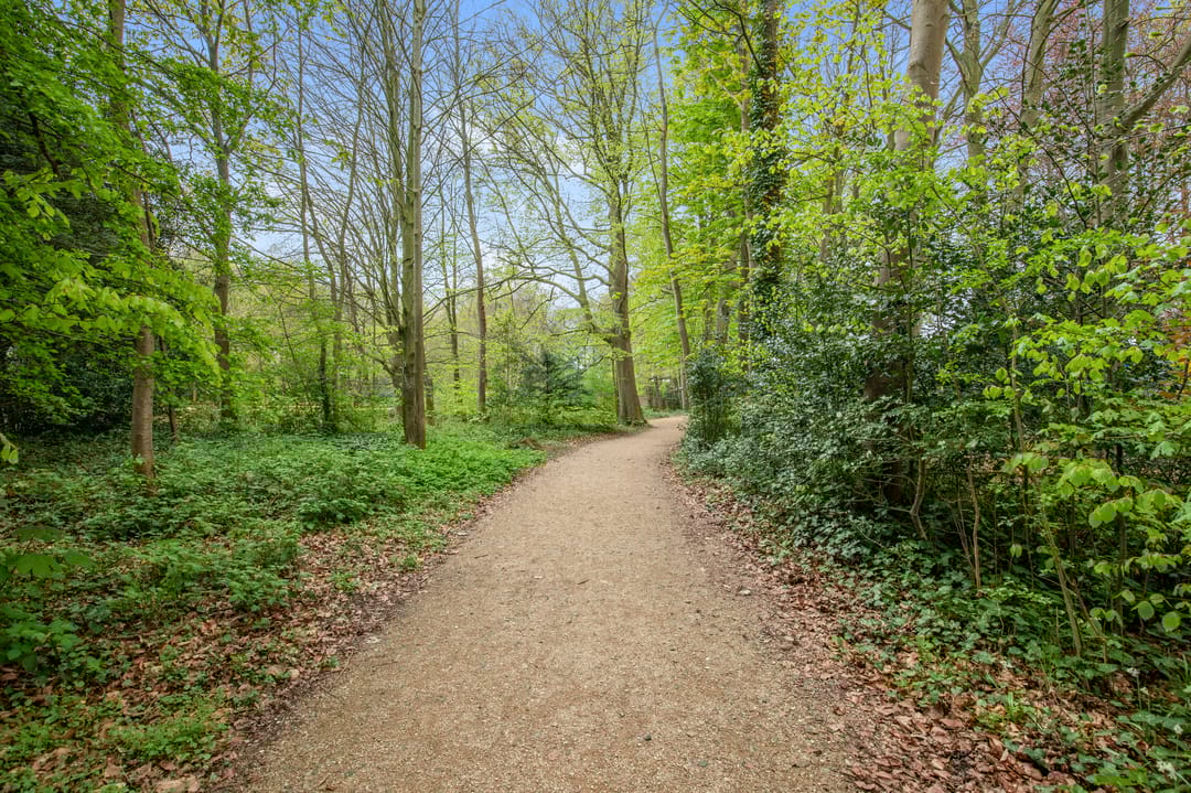 Foto 28 van Koolstraat 3