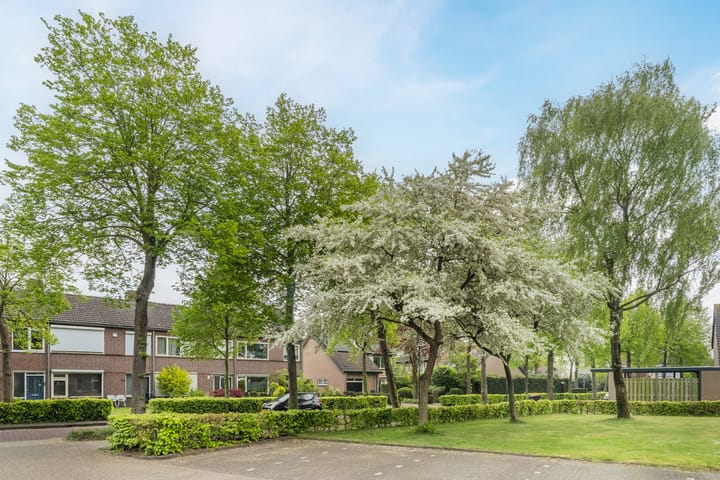 Foto 38 van Aabeekstraat 19-01