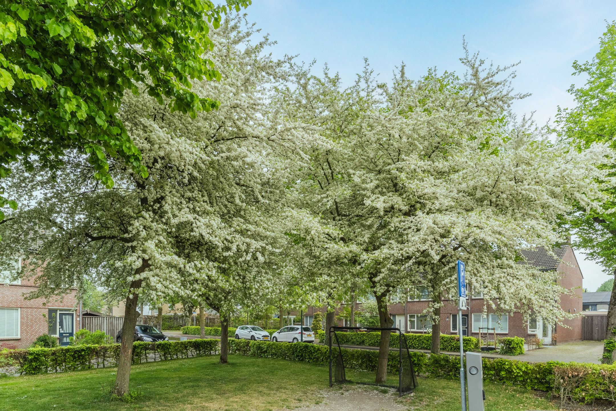 Foto 39 van Aabeekstraat 19-01