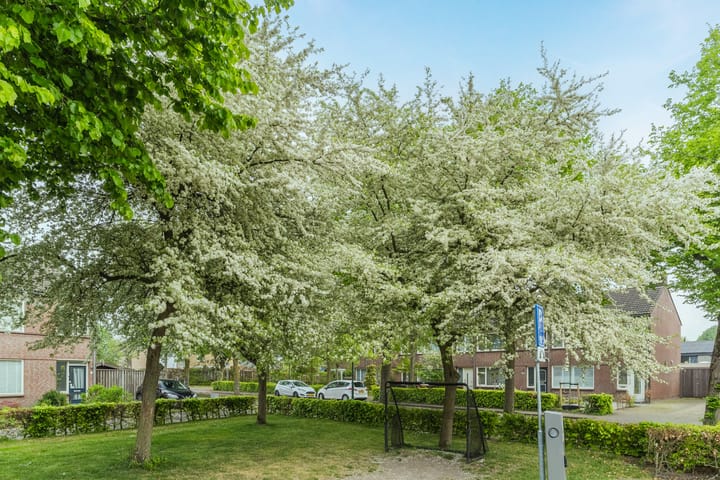 Foto 39 van Aabeekstraat 19-01