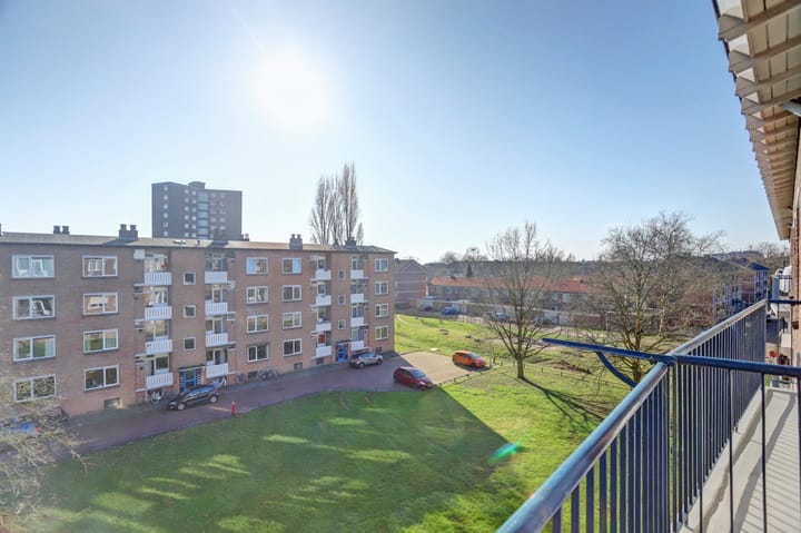 Foto 29 van Koolwitjeshof 5